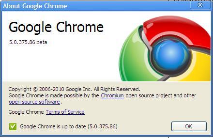 Google Chrome 5.0.375.86 Updated to the latest Version
