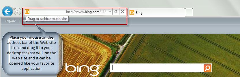 IE 9 Pin
